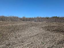 Rural 2 Acre Serviced Property - Photo 4