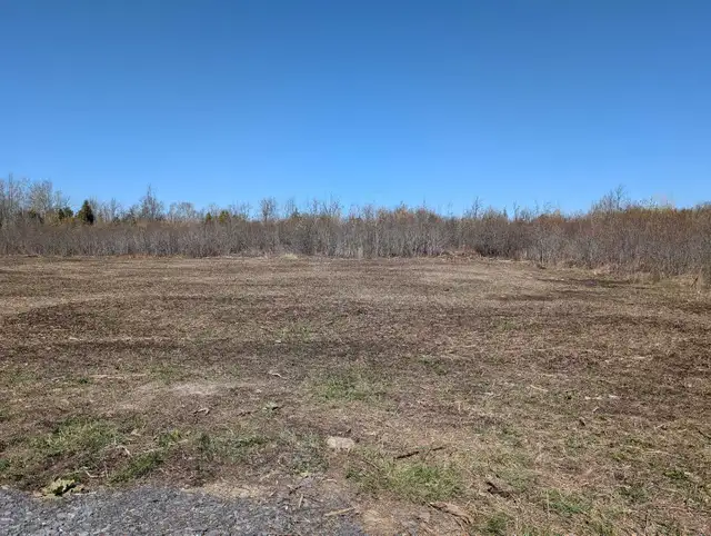 Rural 2 Acre Serviced Property - Photo 5