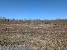 Rural 2 Acre Serviced Property - Photo 5