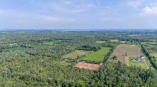Rural 2 Acre Serviced Property - Photo 9