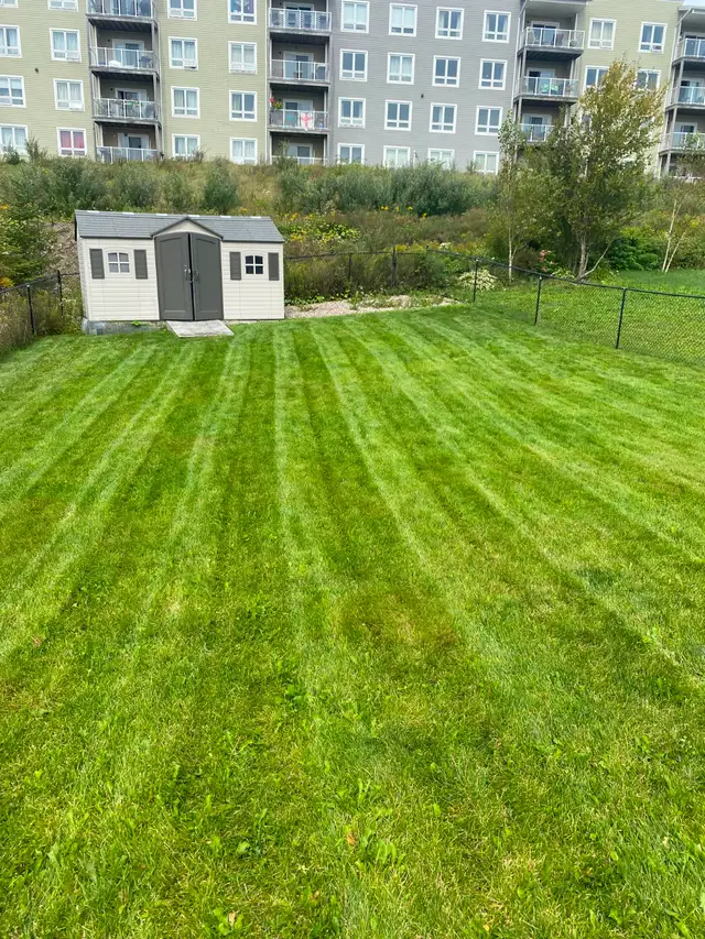 Reliable, Dependable Weekly Mowing - Photo 2