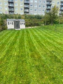 Reliable, Dependable Weekly Mowing - Photo 2