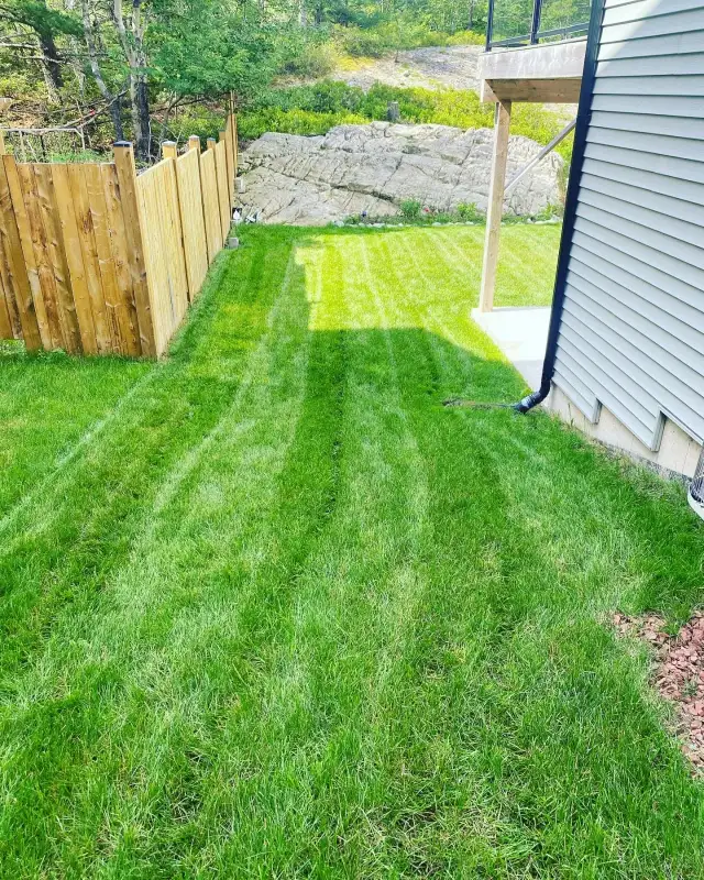 Reliable, Dependable Weekly Mowing - Photo 4