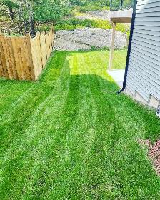 Reliable, Dependable Weekly Mowing - Photo 4