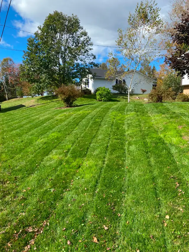 Reliable, Dependable Weekly Mowing - Photo 5