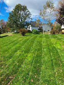 Reliable, Dependable Weekly Mowing - Photo 5