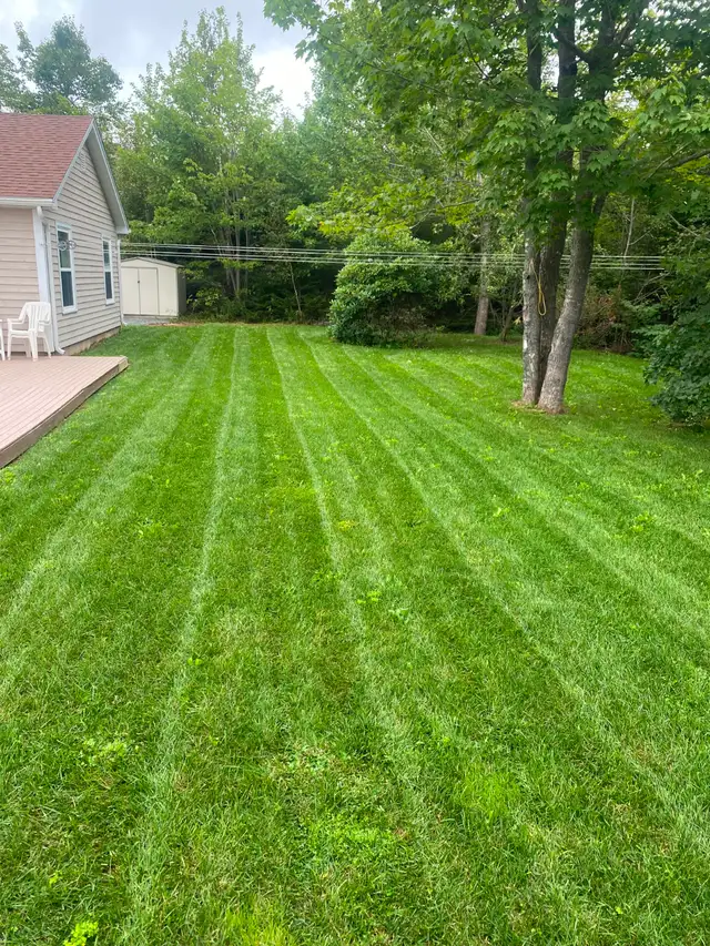 Reliable, Dependable Weekly Mowing - Photo 6