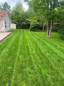 Reliable, Dependable Weekly Mowing - Photo 6