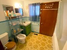 Large Renovated Room for rent near Kensington Market - Photo 7