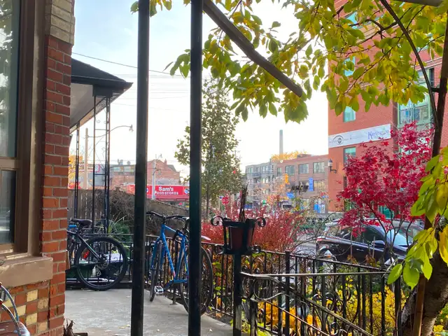 Large Renovated Room for rent near Kensington Market - Photo 8