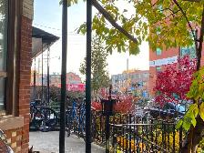 Large Renovated Room for rent near Kensington Market - Photo 8