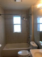 Renovate 2 Bedrooms apartment for rent in little Italy, Windsor - Photo 3
