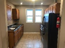 Renovate 2 Bedrooms apartment for rent in little Italy, Windsor - Photo 6