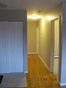 Two Bedroom Apartment - Photo 5
