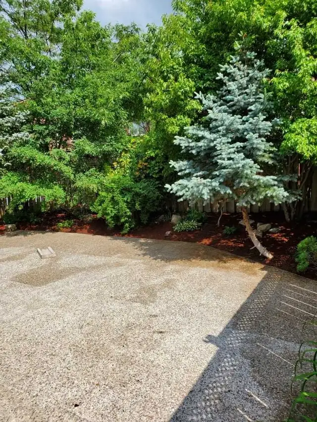 landscaping - Photo 3