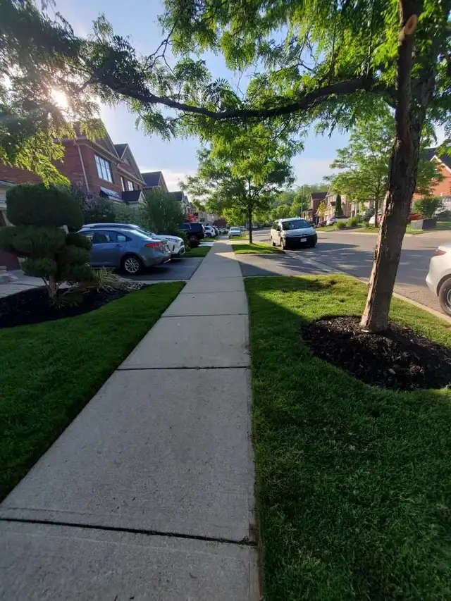 landscaping - Photo 4