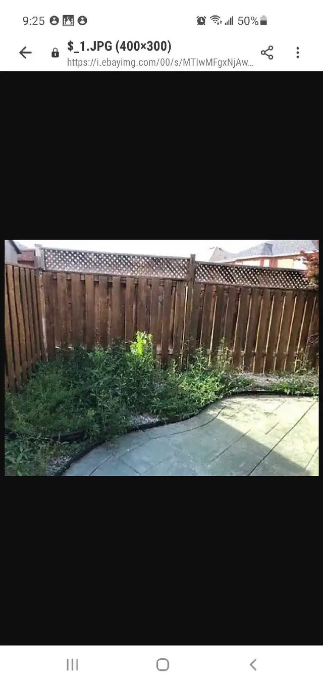 landscaping - Photo 6