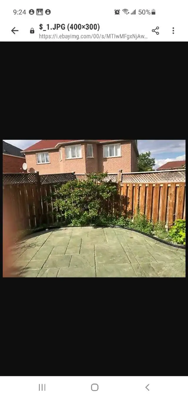 landscaping - Photo 7