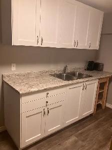 $1300 includes Util and Internet. One Bedroom Basement Suite! - Photo 2