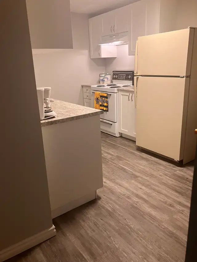 $1300 includes Util and Internet. One Bedroom Basement Suite! - Photo 3