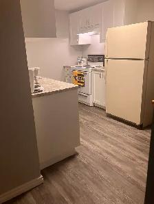 $1300 includes Util and Internet. One Bedroom Basement Suite! - Photo 3