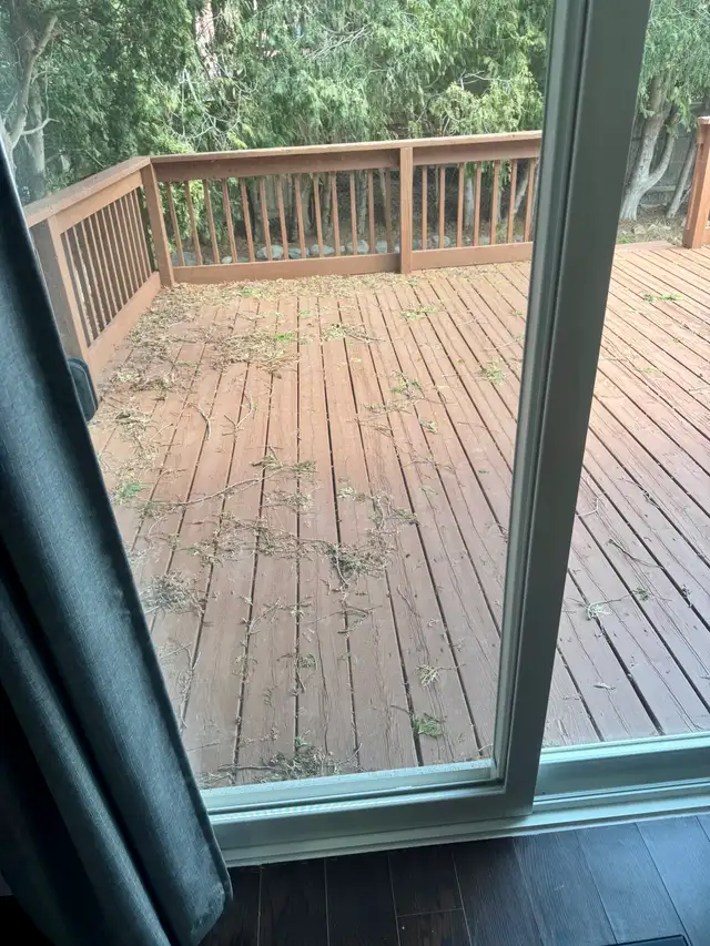 Beautiful Furnished Room for Rent – Female Only | Whitby - Photo 4