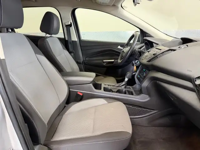 2017 Ford Escape SE / Front Wheel Drive / Heated Seating / r Cam - Photo 5