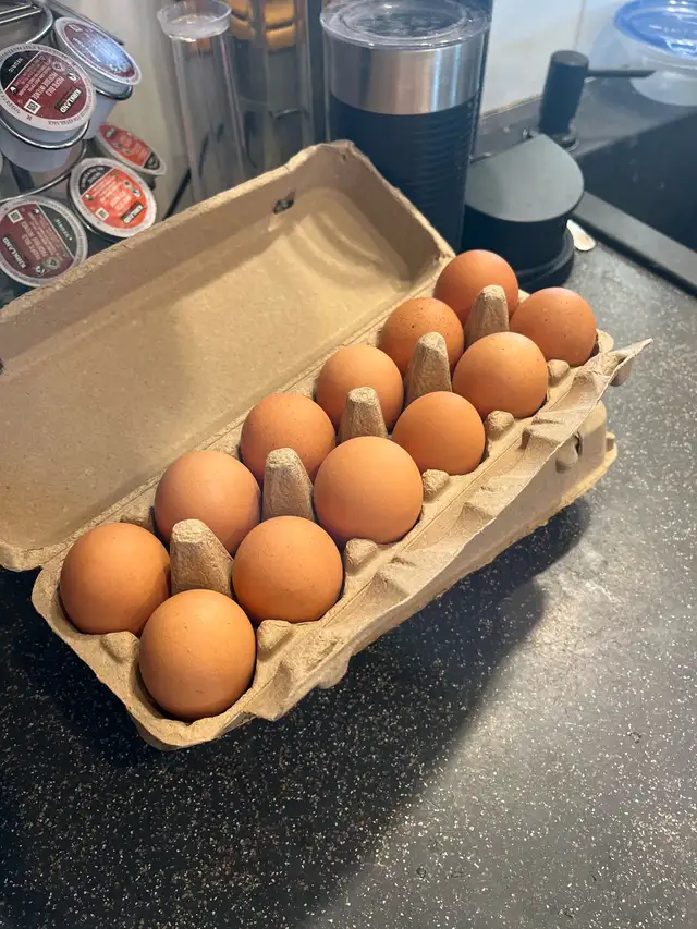 ❗️FARM FRESH EGGS❗️ - Photo 2