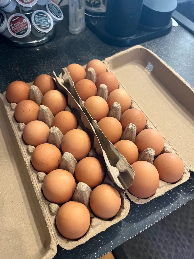 ❗️FARM FRESH EGGS❗️ - Photo 3