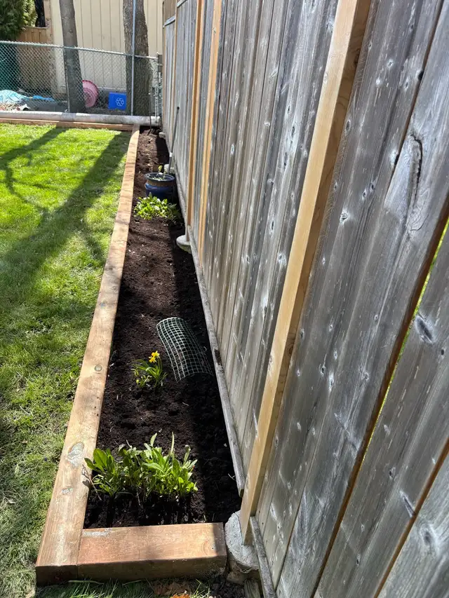 landscaping - Photo 2