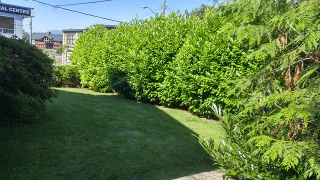 $1,695 / 2br - 1000ft2 - LARGE, BRIGHT, 2 BEDROOM SUITE - Photo 10