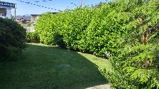 $1,695 / 2br - 1000ft2 - LARGE, BRIGHT, 2 BEDROOM SUITE - Photo 10