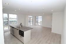 Très  Grand  Condo 5 1/2  à louer