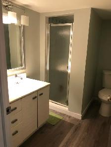 VERY BRIGHT ROOM NORTH YORK STEELES AND BATHURST NEAR BUS/PLAZA - Photo 7