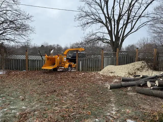 arborist, tree cutting, tree removal, tree pruning, tree work - Photo 5