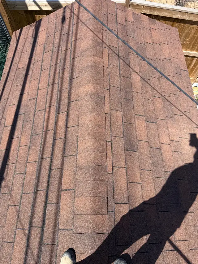 Traitement Cabanon - Photo 3