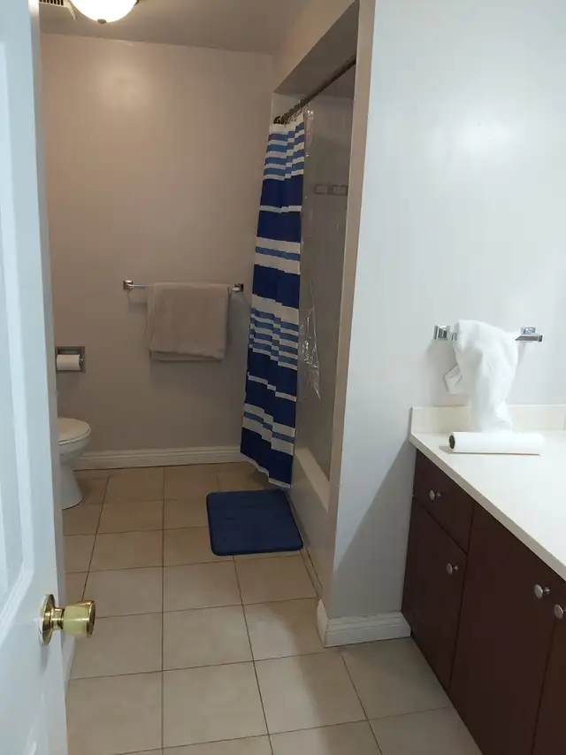 2 BR Walkout legal Basement for Rent - Photo 2