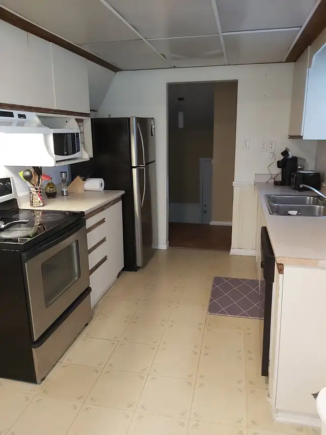 2 BR Walkout legal Basement for Rent - Photo 3