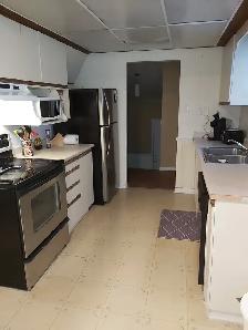 2 BR Walkout legal Basement for Rent - Photo 3