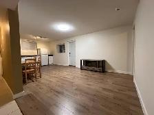 Langley (Walnut Grove) 1bed 1bath basement