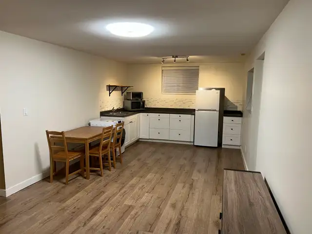 Langley (Walnut Grove) 1bed 1bath basement - Photo 3