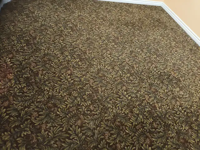 Two bedrooms basement for rent : Brampton - Photo 7