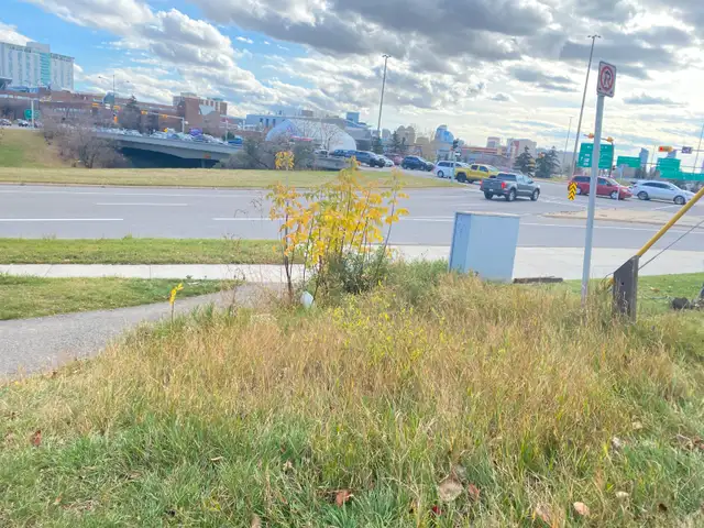 3 min Walk to SAIT - Private parking for rent - Photo 4