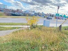 3 min Walk to SAIT - Private parking for rent - Photo 4