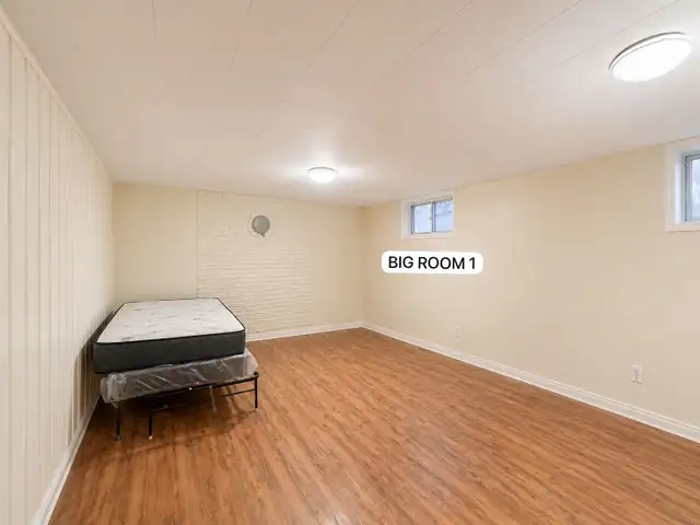 Basement for rent