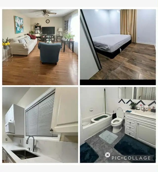 single bedroom for rent