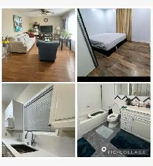 single bedroom for rent