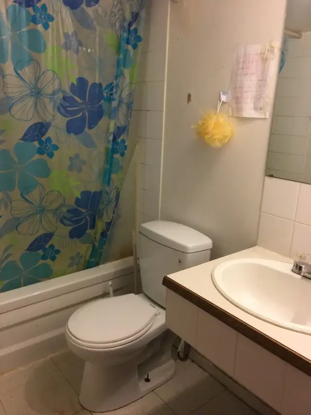 4 mins walk to Lions Park CTrain / North Hill Mall/Near Downtown - Photo 6