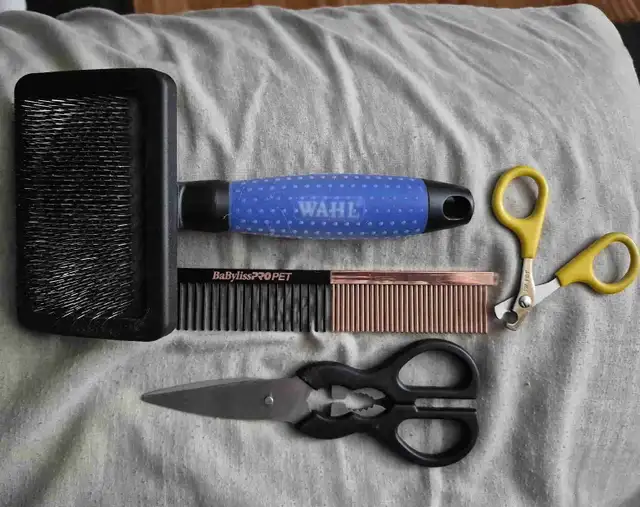pet grooming supplies