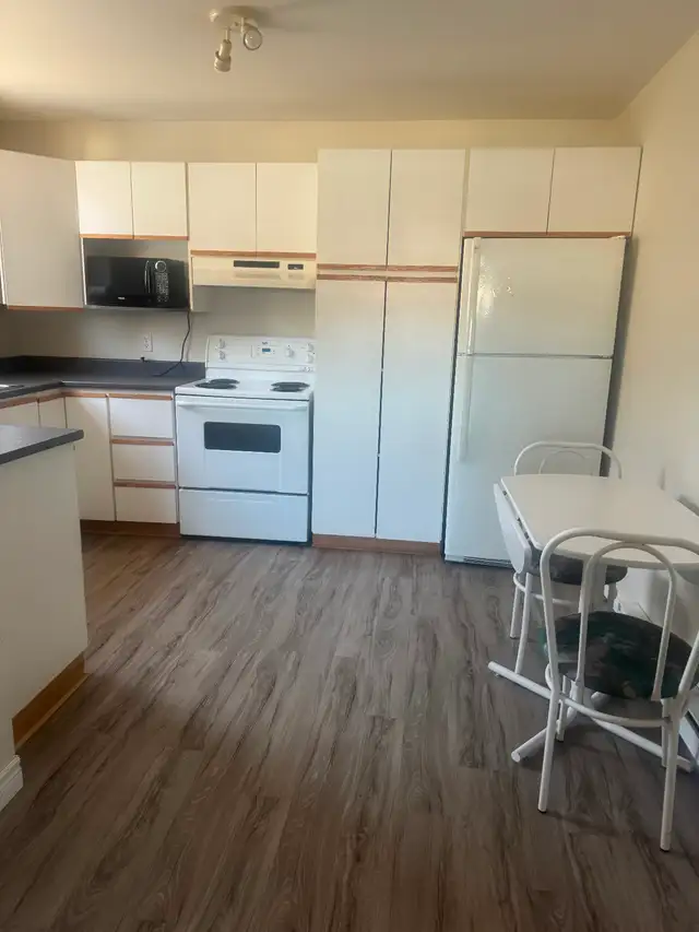 Sunnyslope Area-2 bedroom apt - Photo 3